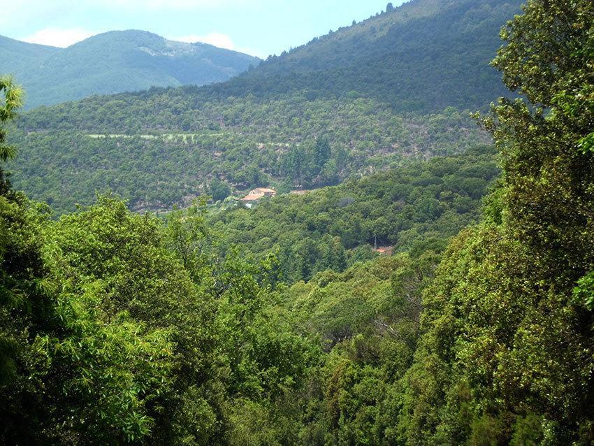 Ca L'Agnes Guest House Montseny Exterior photo